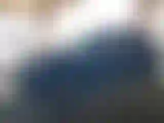 Vehicle Image- 2012 Audi Q5