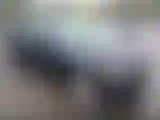 Vehicle Image- 2012 Audi Q5