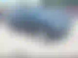 Vehicle Image- 2011 Audi Q5