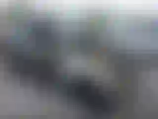 Vehicle Image- 2011 Audi Q5