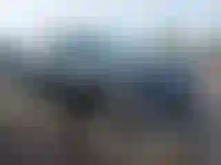 Vehicle Image- 2022 Audi Q5