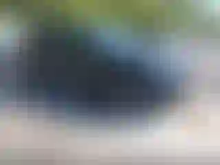 Vehicle Image- 2023 Audi Q5