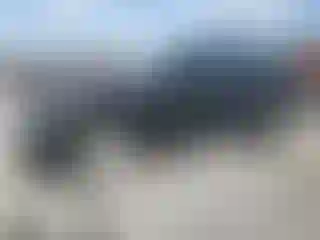 Vehicle Image- 2024 Audi Q5