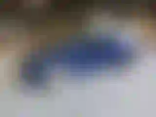 Vehicle Image- 2022 Audi Q5