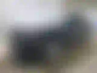 Vehicle Image- 2023 Audi Q5