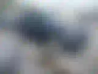 Vehicle Image- 2009 Audi Q5