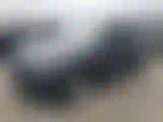 Vehicle Image- 2009 Audi Q5