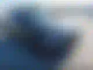 Vehicle Image- 2016 Audi Q5