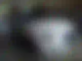 Vehicle Image- 2016 Audi Q5