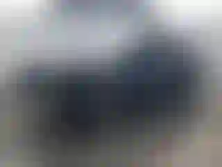 Vehicle Image- 2016 Audi Q5