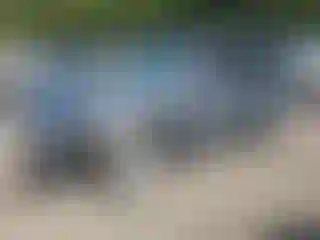 Vehicle Image- 2016 Audi Q5