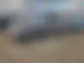 Vehicle Image- 2016 Audi Q5