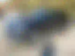 Vehicle Image- 2017 Audi Q7