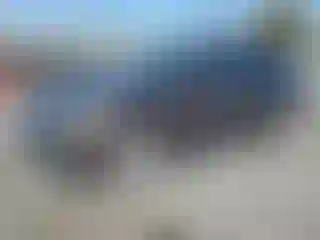 Vehicle Image- 2017 Audi Q7