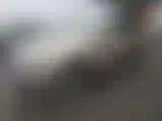 Vehicle Image- 2019 Audi Q7