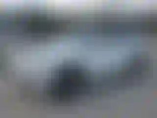 Vehicle Image- 2014 Audi Q5