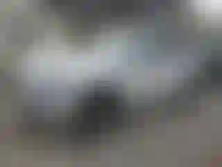 Vehicle Image- 2011 Audi Q5