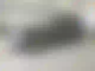 Vehicle Image- 2012 Audi Q5