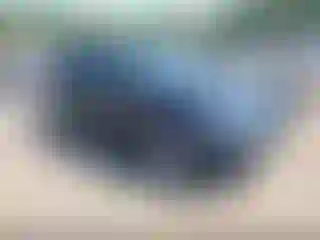 Vehicle Image- 2012 Audi Q5