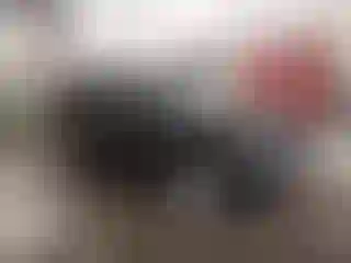 Vehicle Image- 2012 Audi Q5