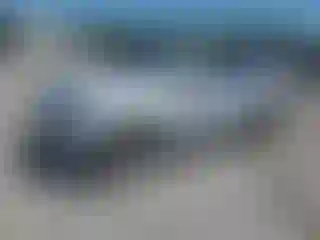 Vehicle Image- 2013 Audi Q5