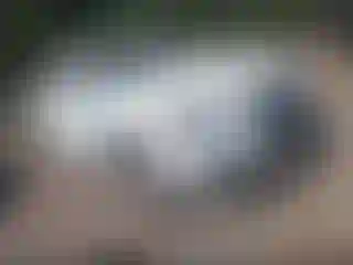 Vehicle Image- 2012 Audi Q5