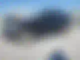 Vehicle Image- 2012 Audi Q5