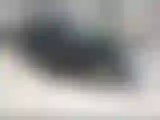 Vehicle Image- 2013 Audi Q5