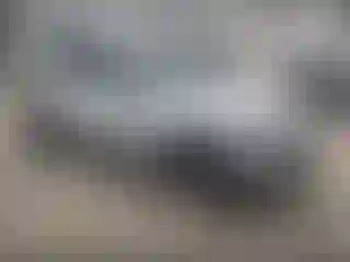 Vehicle Image- 2014 Audi Q5