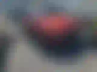 Vehicle Image- 2015 Audi Q5