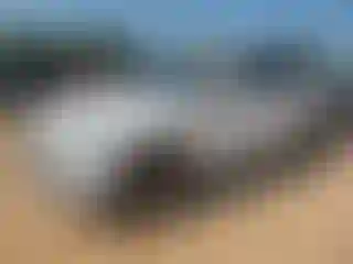 Vehicle Image- 2015 Audi Q5