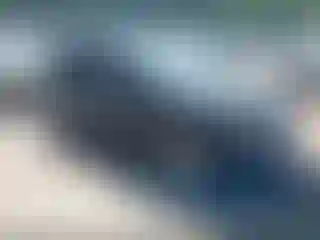 Vehicle Image- 2015 Audi Q5