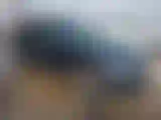 Vehicle Image- 2013 Audi Q5