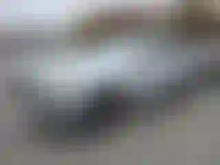 Vehicle Image- 2013 Audi Q7