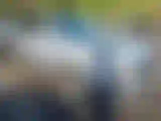 Vehicle Image- 2013 Audi Q7