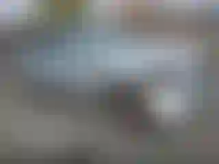 Vehicle Image- 2015 Audi Q7