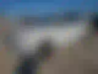 Vehicle Image- 2017 Audi Q7