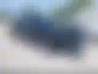 Vehicle Image- 2019 Audi Q7