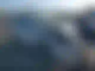 Vehicle Image- 2019 Audi Q7