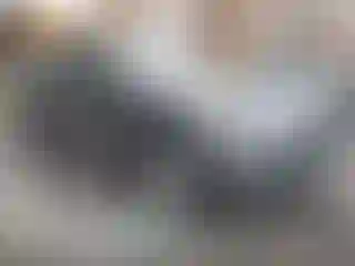 Vehicle Image- 2022 Audi Q7