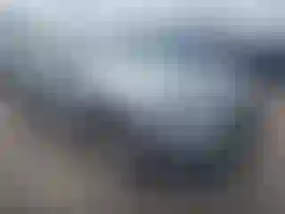 Vehicle Image- 2010 Audi Q5