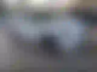 Vehicle Image- 2010 Audi Q5