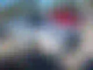 Vehicle Image- 2010 Audi Q5