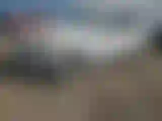 Vehicle Image- 2010 Audi Q7