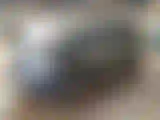 Vehicle Image- 2015 Audi Q7