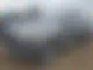 Vehicle Image- 2013 Audi Q7