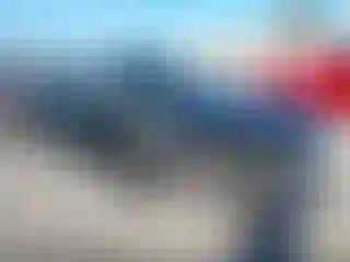 Vehicle Image- 2021 Audi Q7