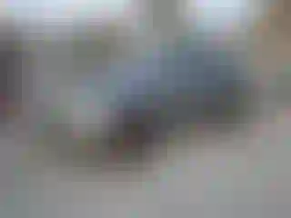 Vehicle Image- 2010 Audi Q7