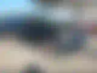 Vehicle Image- 2010 Audi Q7