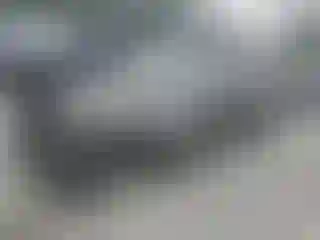 Vehicle Image- 2010 Audi Q7